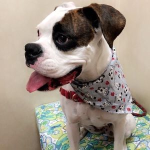 Meet your Posher, Ethelyn